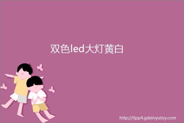 双色led大灯黄白