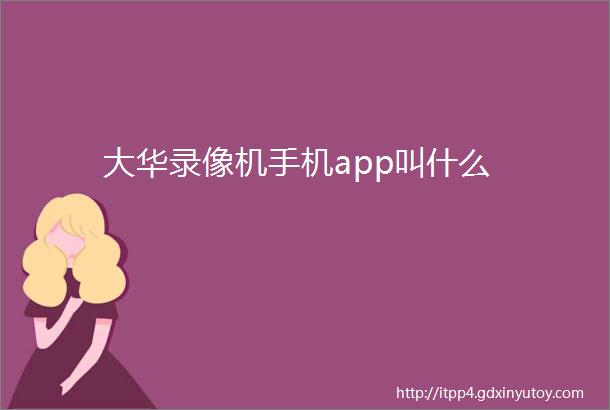 大华录像机手机app叫什么