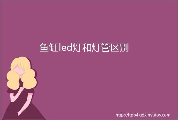 鱼缸led灯和灯管区别