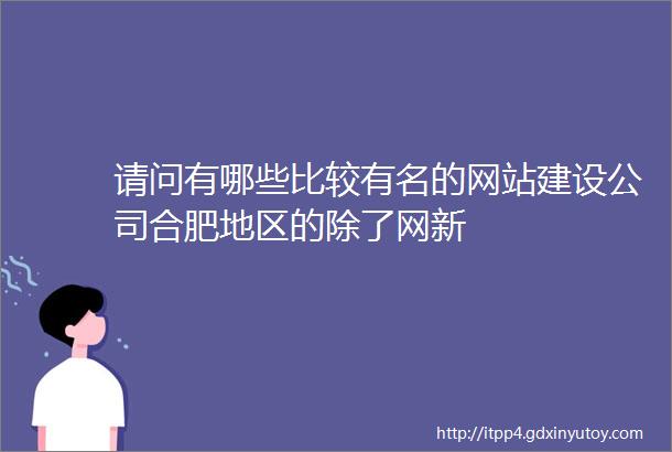 请问有哪些比较有名的网站建设公司合肥地区的除了网新