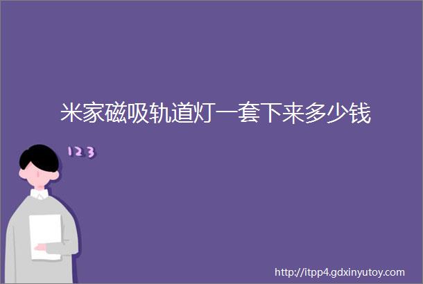 米家磁吸轨道灯一套下来多少钱