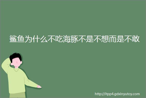 鲨鱼为什么不吃海豚不是不想而是不敢